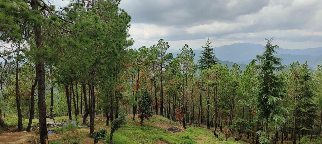 The Roots Homestay Almora Bagian luar foto